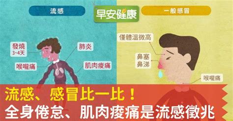 發燒 頭暈|感冒全身痠痛？發燒又肌肉無力？感冒、流感症狀不同，一張圖讓。